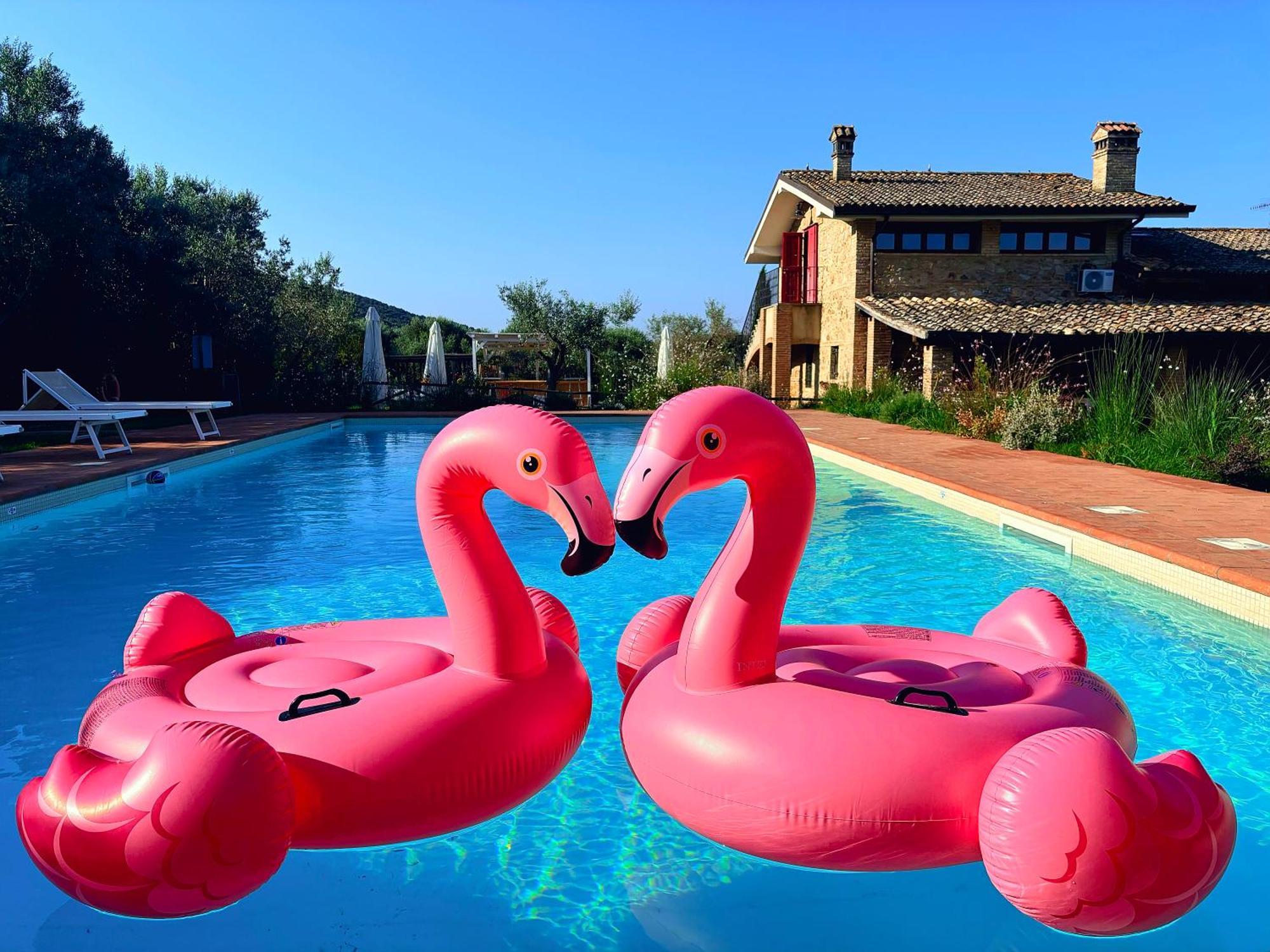 Nonna Nara Bed & Breakfast Grosseto Ngoại thất bức ảnh