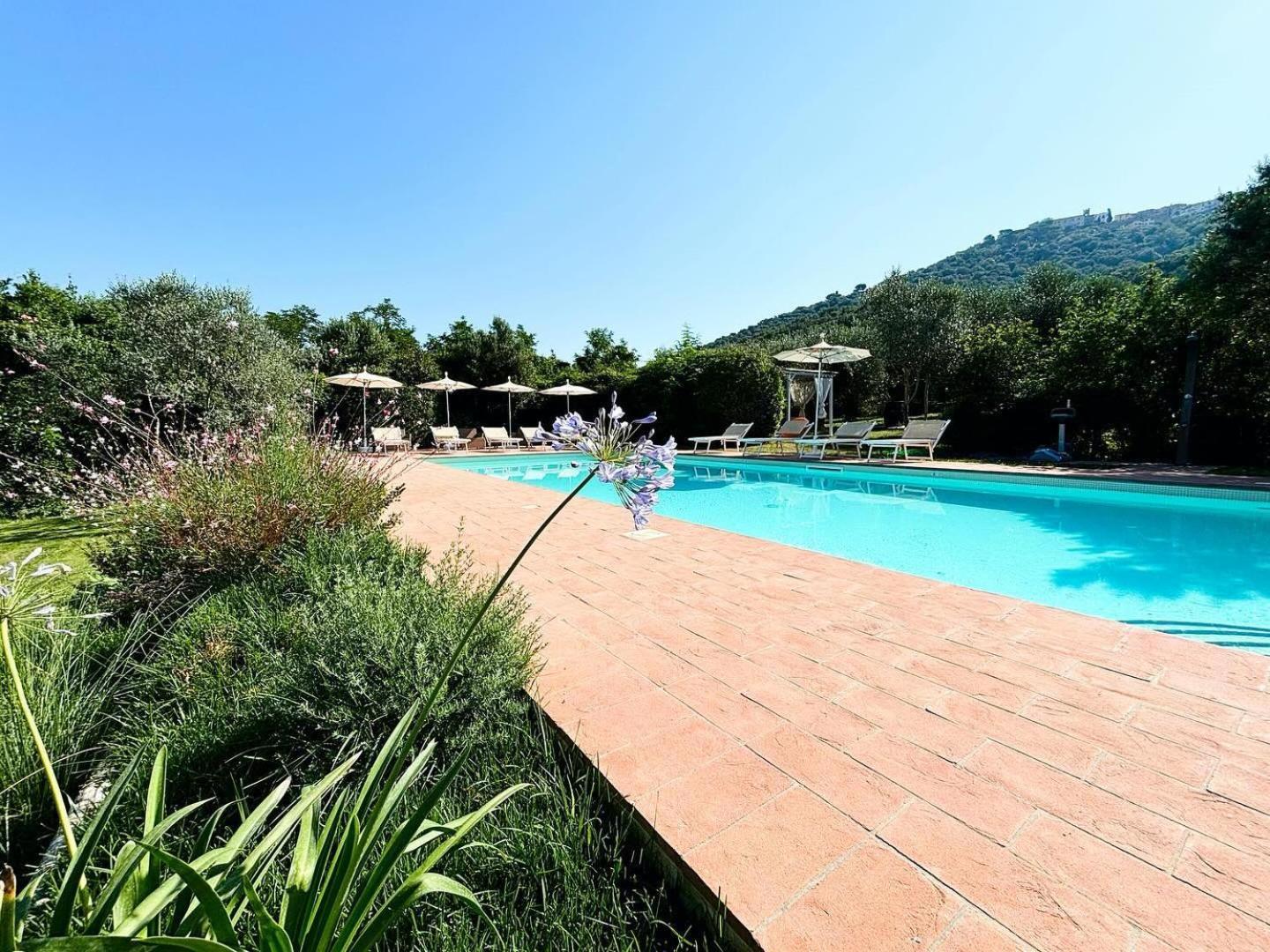 Nonna Nara Bed & Breakfast Grosseto Ngoại thất bức ảnh
