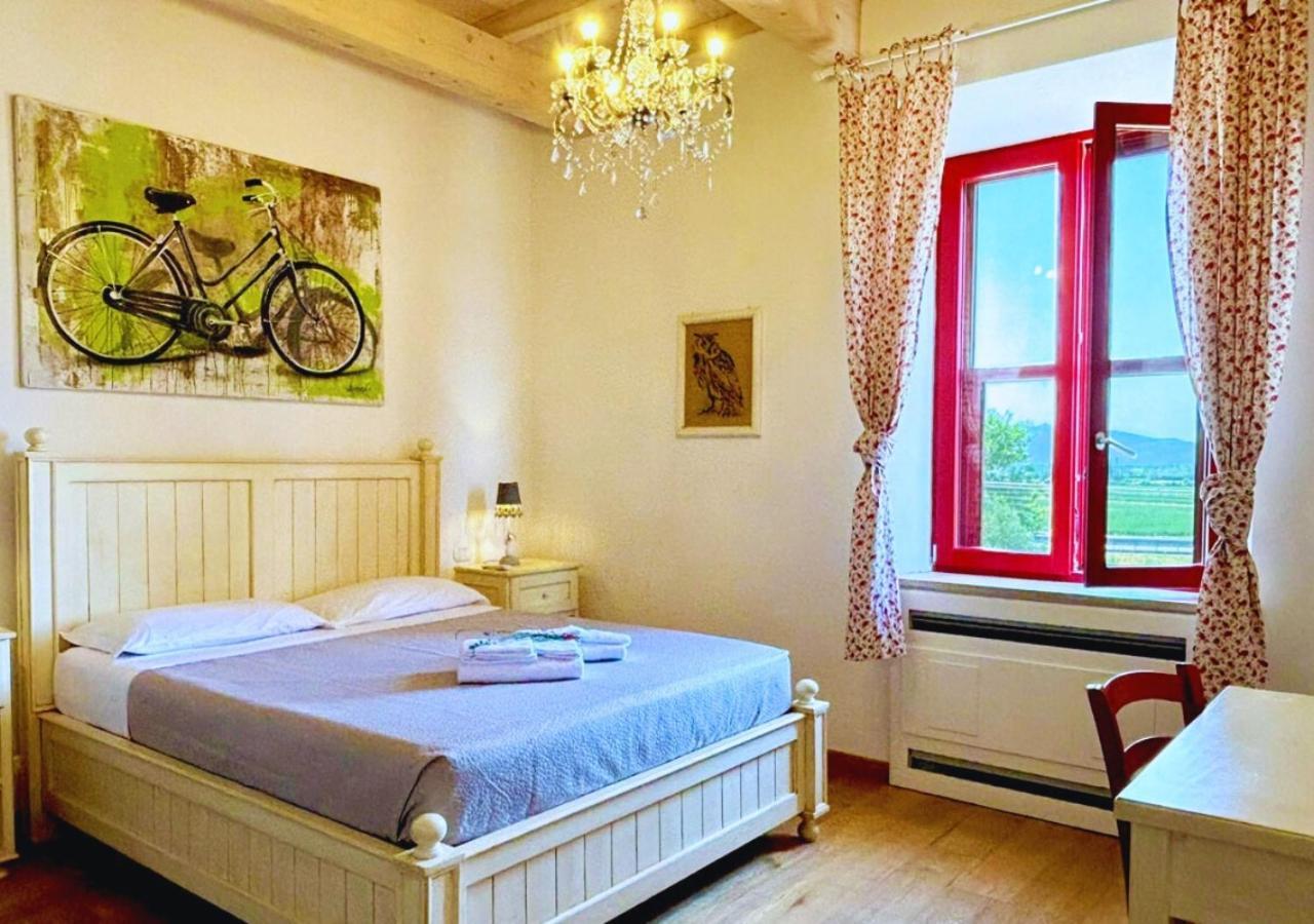 Nonna Nara Bed & Breakfast Grosseto Ngoại thất bức ảnh