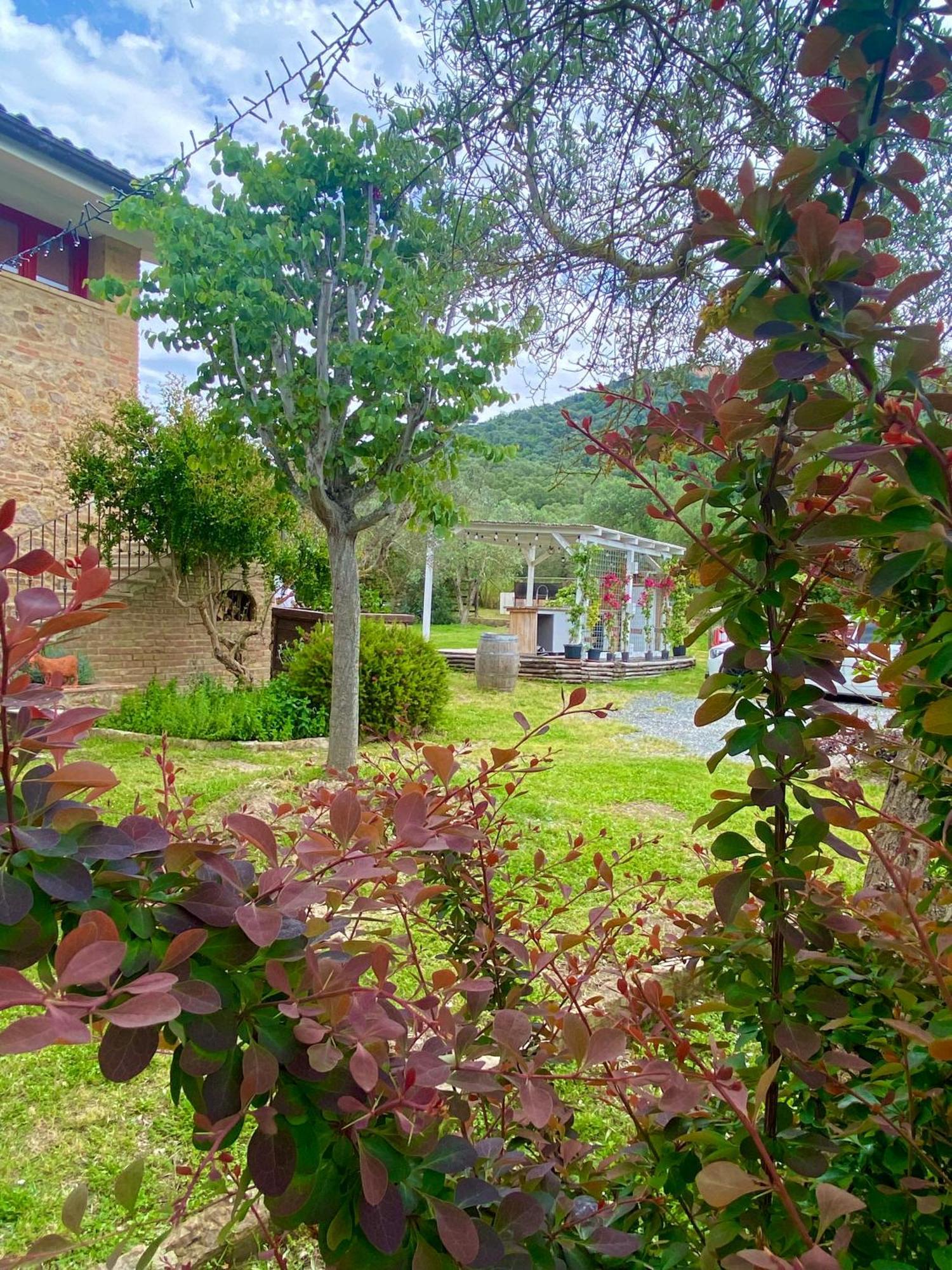 Nonna Nara Bed & Breakfast Grosseto Ngoại thất bức ảnh